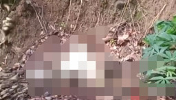 Geger Mayat Wanita di Tasikmalaya,  Membusuk di Lereng Gunung Putri