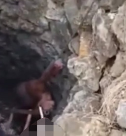  5 Warga Pamekasan Tewas Diduga Hirup Gas Beracun dalam Sumur