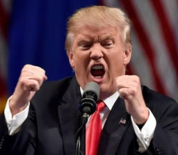 Ada Peran Muslim dan Palestina di Balik Kemenangan Donald Trump