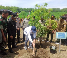 Hutan Gundul Diduga Jadi Pemicu Banjir Ponorogo, Menteri LH Lakukan Reboisasi