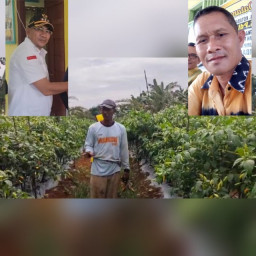 Camat Kelumpang Selatan dan Kepala Desa Pembelacanan Apresiasi Keberhasilan Wardi 