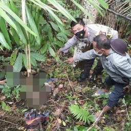 Mayat Wanita Tanpa Identitas, Ditemukan di Jalan Trans Sulawesi