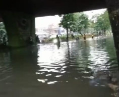 Hujan Deras Disertai Angin Kencang, Surabaya Dikepung Banjir hingga Puluhan Pohon Tumbang