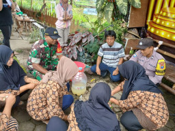 Kapolsek Bumiaji bersama Dinas Pertanian Kota Batu Gelar Edukasi Pekarangan Pangan Lestari 