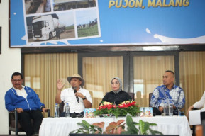 Tingkatkan Kualitas dan Produksi Susu Segar, PT Frisian Flag Berdayakan Peternak Lokal