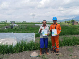 Tingkatkan Pengawasan Jaringan Transmisi Jelang Nataru, PLN Kenalkan Petugas Garda Terdepannya