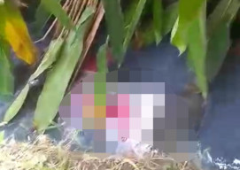 Mayat Tertelungkup Dalam Selokan Bikin Heboh Warga