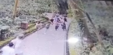Pepohonan di Sebelah Pura Prajapati Obyek Wisata Monkey Forest Tumbang, 2 WNA Tewas