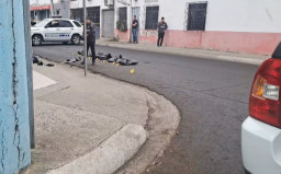 Dua Mayat Terpotong-potong Ditemukan Depan Gereja