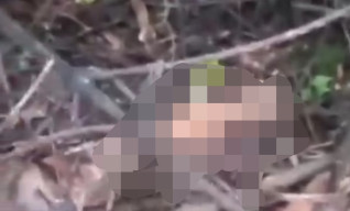 Mayat Wanita tanpa Identitas Ditemukan di Hutan Lindung Kabupaten Batang