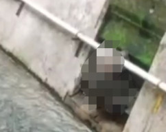 Kakek 75 Tahun Meninggal Dunia di Tepi Sungai, dengan Posisi Pegang Pipa Paralon