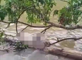 Mayat Pria Ditemukan Mengapung di Sungai Lakitan, Tersangkut Ranting Pohon