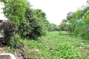 Langganan Banjir, Warga Gunung Anyar Minta BBWS Brantas Plengseng Sungai Avur