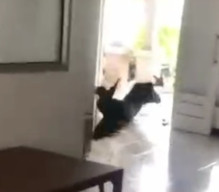 Maunya Bakar Balai Desa tapi Gagal karena Terpeleset Oli