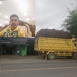 Keluhan Kepala Desa Lalapin Soal Angkutan Sawit Overload, DPRD Kotabaru Akan Panggil Pihak Terkait