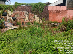 Lahan KWT di Kelurahan Kedaleman Terbengkalai, Program Kelurahan Tak Terlaksana Baik