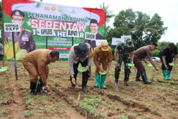 Forkopimda Sumenep Tanam Jagung Dukung Swasembada Pangan Nasional
