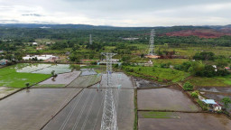 Gebrakan 100 Hari, Presiden Prabowo Resmikan 37 Proyek Ketenagalistrikan Nasional
