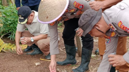 Polsek Cibeber Laksanakan Penanaman Jagung 1 Juta Hektar di Perumahan Grand Cilegon