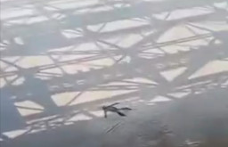 Mayat Pria di Sungai Citarum Gegerkan Warga Karawang 