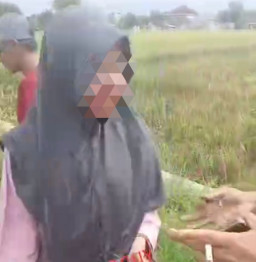 Sadis! Gadis Muda Seorang Diri Dikeroyok Begal hingga Berdarah-darah, Motor pun Dibawa Kabur