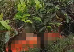 Sebelum Ditemukan Meninggal di Kebun Teh, Siti Pamit Kerja ke Ibu Kota