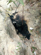 Pesawat Cessna Citation 550 Jatuh, Tiga Awak Pesawat Tewas