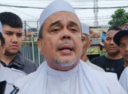 Konflik PDIP vs Jokowi Memanas, Habib Rizieq: Setan Sama Setan Berkelahi, Gelar Tiker, Tonton