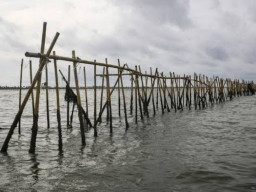 DPR Minta Penegak Hukum Seret Penerbit dan Penerima SHM dan SHGB Pagar Laut