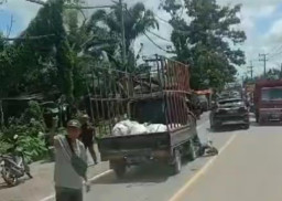 Tabrak Pick up, Pemotor Tewas di Jalan Ketapang