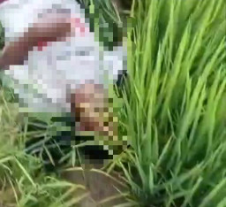 Mayat Pakai Kaos Capres Ditemukan Tergeletak di Sawah 
