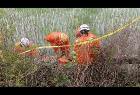 2 Hari Berturut-turut, Dua Mayat Korban Pembunuhan Ditemukan di Megaluh Jombang