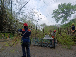 PLN UIT JBM Laksanakan Grebeg Row, Jaga Keamanan dan Keandalan Jaringan Transmisi