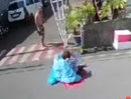 Sarang Dilempar Bola, Tawon Serang Warga