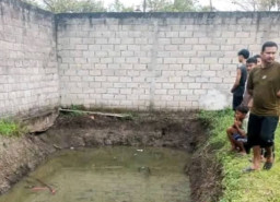 Anak Usia 7 Tahun di Medan Dirudapaksa lalu Dibunuh Tetangga Sendiri