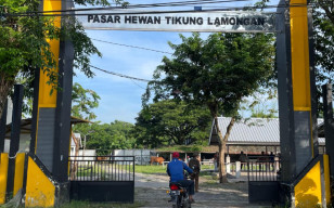 Satu Bulan Tutup Karena PMK, Pasar Hewan Lamongan Kembali Dibuka