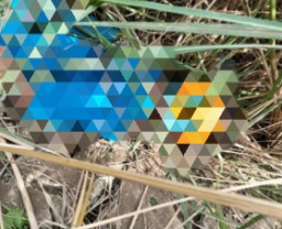 5 Bulan, Pelaku Pembunuhan Rizky Setiawan Asal Brebes Belum Tertangkap