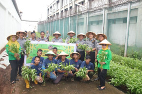 Lapas Cipinang Bina Kemandirian Warga Binaan Lewat Urban Farming