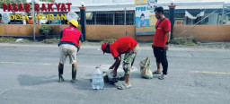 Banyak Korban Kecelakaan, LSM di Pantura Lamongan Tambal Lobang di Jalanan