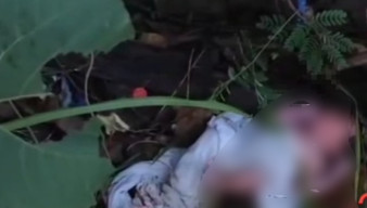 Bayi Baru Lahir Ditemukan Menangis di Semak-Semak