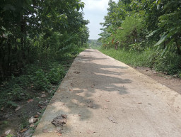 Pemdes Marmoyo Jombang Disinyalir Tabrak Aturan, Bangun Rabat Beton Diduga di Atas Lahan Perhutani