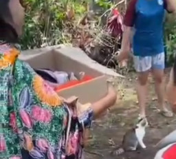 Bayi Dalam Kardus Ditemukan di Depan TPU Dusun 2, Warga Desa Geger