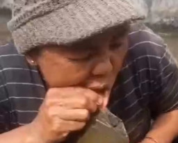 Bibir Emak-Emak Digigit Labi-Labi