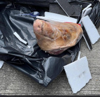 IPW Mengecam Keras Teror kepada Media Tempo, STS: Usut Tuntas Ini Mencederai Pers