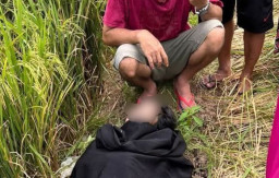 Mayat Wanita Terbungkus Sarung di Pematang Sawah Pinrang, Polisi Usut