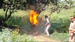 Sengketa Lahan, Petani Nekad Bakar Diri di Hadapan Banyak Polisi