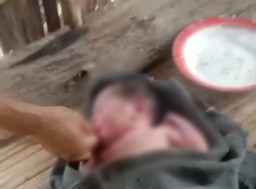 Bayi Baru Lahir Ditemukan di Gubuk Sawah