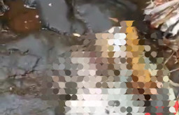 Geger Mayat Bayi Ada Luka Lebam Ditemukan Petani di Sungai 