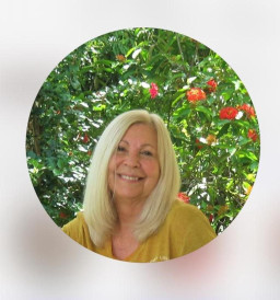 Profesor Berusia 81 Tahun Tewas Ditabrak Pikap