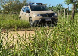 Jasad Terpotong-potong Ditemukan Di Atas Jalanan Tak Beraspal